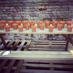 Plant pots set up before the performance - Molly Moore
